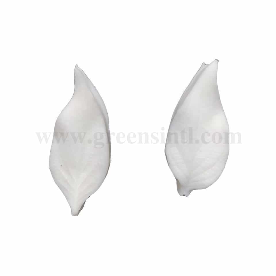 GREENS CHOICE Silicone Mould Leaf Veiners 20x45x90mm