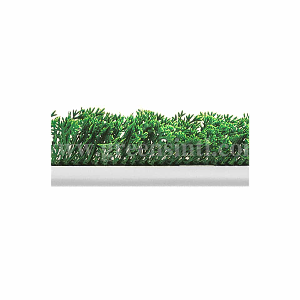 FISCHER BARGOIN Greenery Garnish Divider 750 x h 55 mm