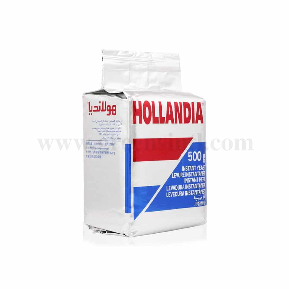 GREENS Hollandia Dry Yeast 500 g