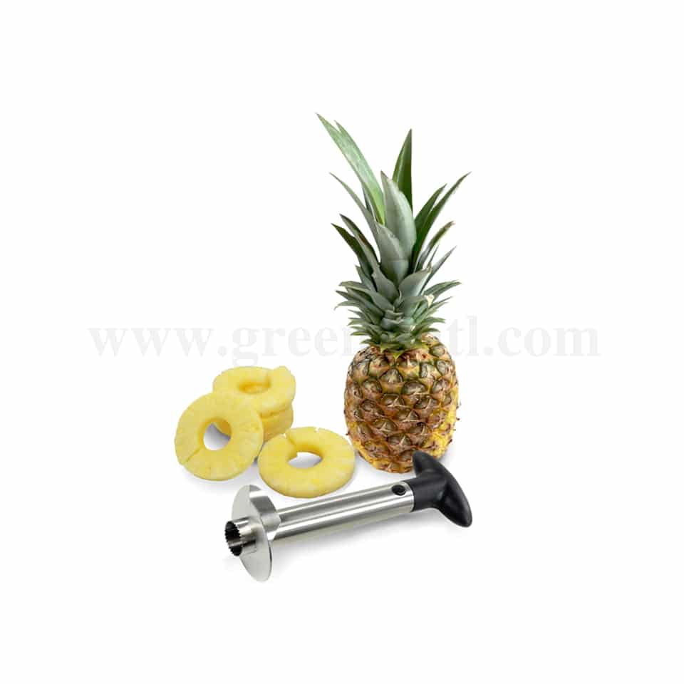 GOBEL Stainless steel Pineapple peeler, corer and slicer