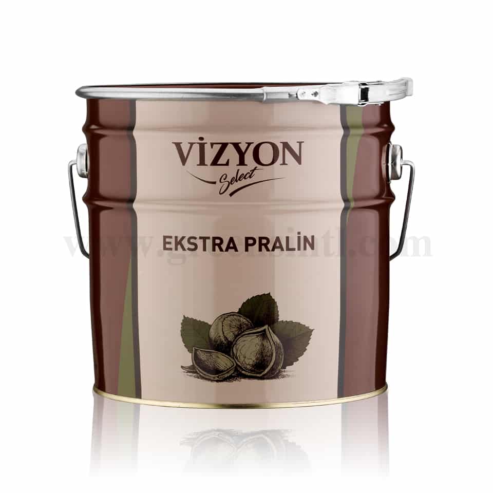VIZYON Extra Praline Hazelnut Cream W/Cacao 18.3% 10 Kg