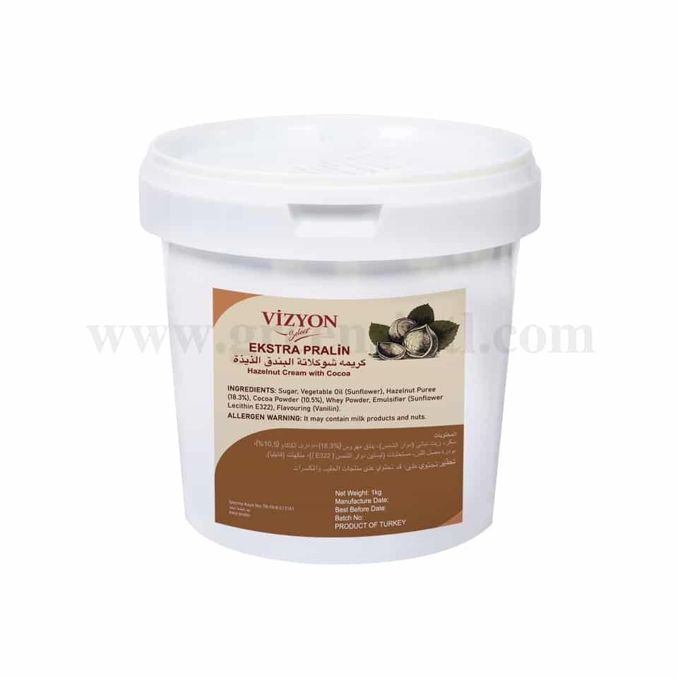 VIZYON Extra Praline Hazelnut Cream W/Cacao 18.3% 1 Kg