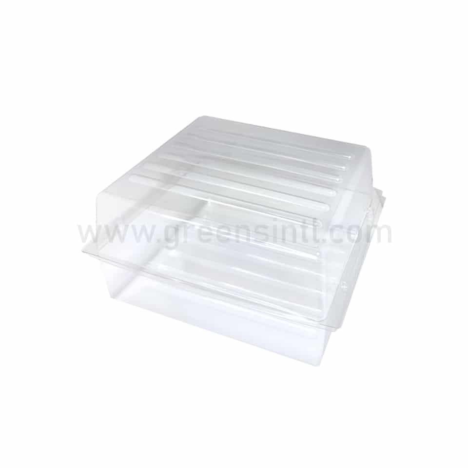 SOLIA Thermoformed Box for 70 Macaroons-25 Pcs
