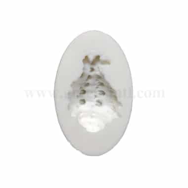 GREENS CHOICE Silicone Mould Sea Shell 50 x 60 mm