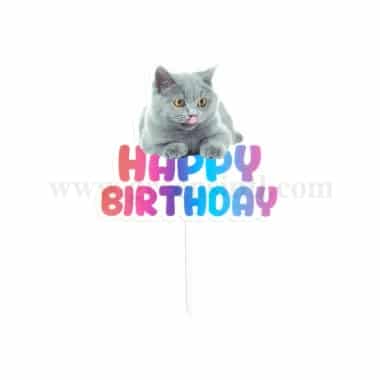 GREENS CHOICE Cake Topper Happy Birthday With Cat 110 x 100 mm