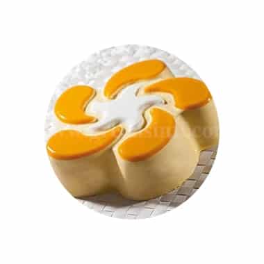 DEMARLE Flexipan Mould Neptune 240x240x60mm -Single Indent