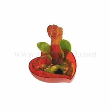 SOLIA Heart Mini DishTransparent Red / Dessert Cups 100 ml-40 Pcs