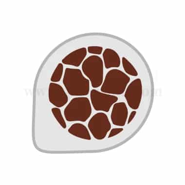 MARTELLATO Decorative Stencil D260mm
